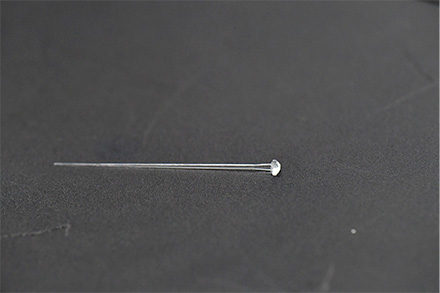 株式会社ニュートン様の写真